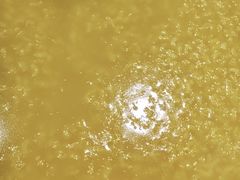 -阳阳中国饭(龙湖大兴天街)