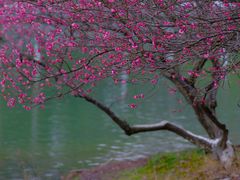 -白塘生态植物园