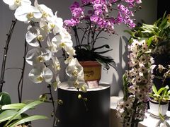 -北京植物园-展览温室