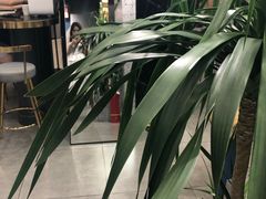 -海马体照相馆|大师(北京华贸中心店)