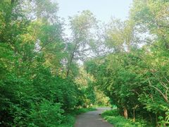 -黑龙江省森林植物园