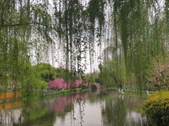 -圩墩遗址公园