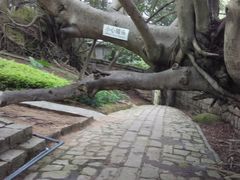 -胡里山炮台