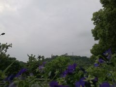 -上海佘山国家森林公园西佘山园