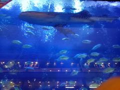 -成都浩海立方海洋公园