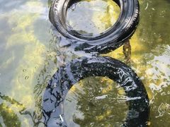 -南海湾森林生态园