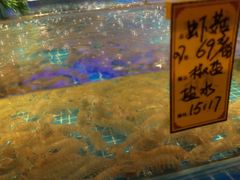 -驻海渔市(置信店)