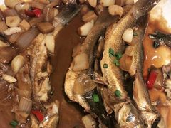 -高佳庄·舟山海鲜(海景旗舰店)