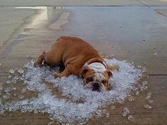 -陕西省游泳跳水馆