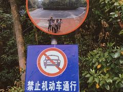 -火炉山森林公园