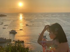 -枸杞岛
