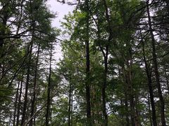 -白草畔自然风景区