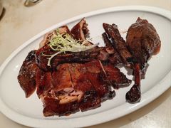 -佬肥猫(国华广场店)