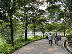 -中山市树木园