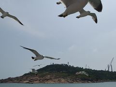 -海驴岛(荣成市)