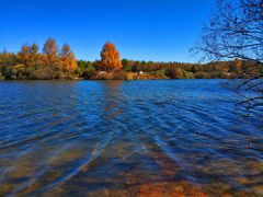 -塞罕坝国家级自然保护区