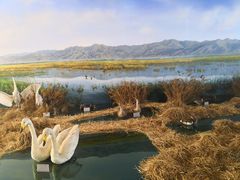 -延庆地质公园博物馆