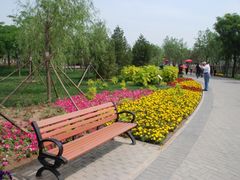 景点-大兴滨河森林公园