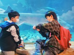 -华夏文旅海洋公园