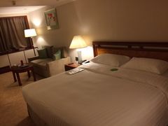 -香港皇家太平洋酒店