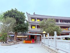 -华林禅寺