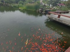 -拜将坛