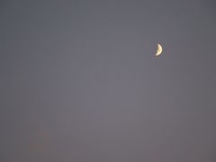 -山东外贸职业学院