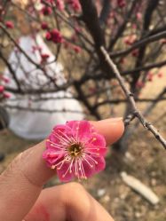 点击看大图 -唯一视觉婚纱摄影(李家村店)