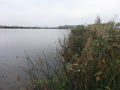 -鉴湖国家城市湿地公园
