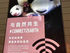 -郑州新郑国际机场