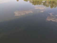 -克拉玛依河景区-九龙潭