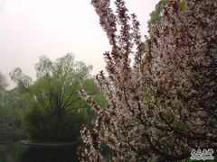 -紫竹院公园冰场