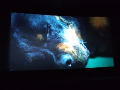 -美嘉欢乐影城(万象城店)