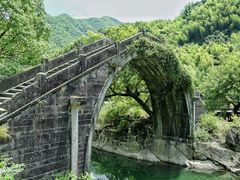 -鹿亭中村