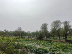 -渭滨公园