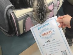 -美联众合动物医院·24h京西诊疗中心