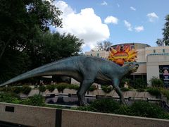 -奥兰多迪士尼动物王国乐园