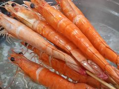 -濠轩阁特色生蚝火锅(水湾路店)
