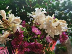 -老宅子私房菜馆(大理古城店)
