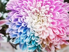 -陶然亭公园南门停车场