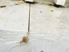 -南宫温泉水世界