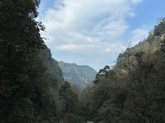 -碧峰峡风景区