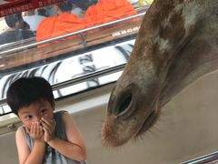 -清迈夜间动物园