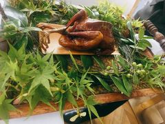 -蝶舍·MAISON PAPILLON