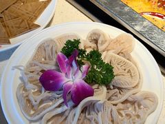 -红鼎坊·老成都火锅(新南门店)