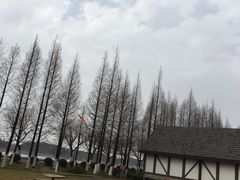 -太阳岛度假酒店