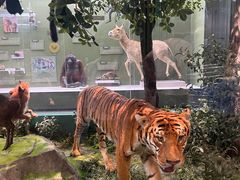 -国家自然博物馆