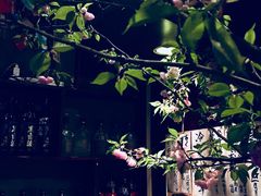 景观位-九州酒场ひこぞう(1号店)