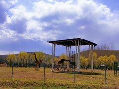 -哈尔滨北方森林动物园