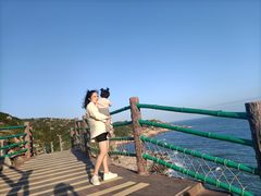 -广东惠东海龟国家级自然保护区